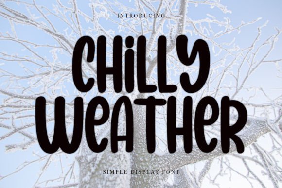 Chilly Weather Font: Elegant Script for Designers