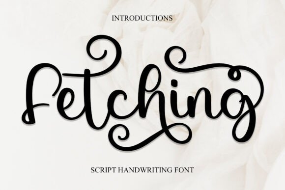 Fetching: A Stylish Font for Business