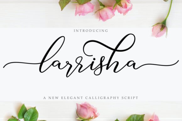 Larrisha: A Modern Script Font