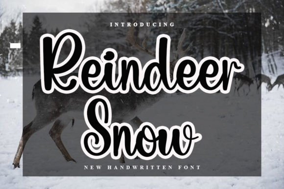 Reindeer Snow Font for Business
