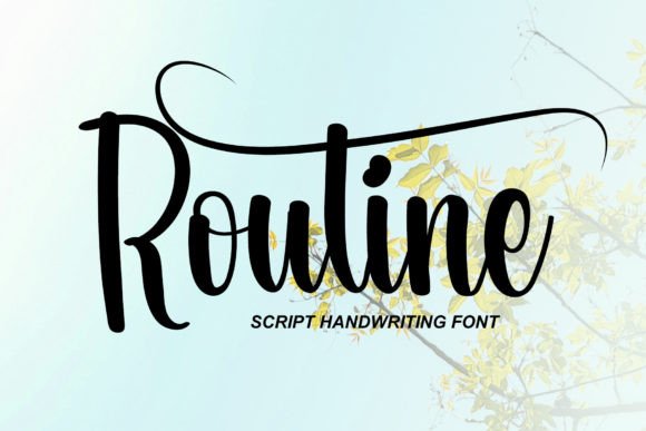 Routine: A Script Amp for Real Projects