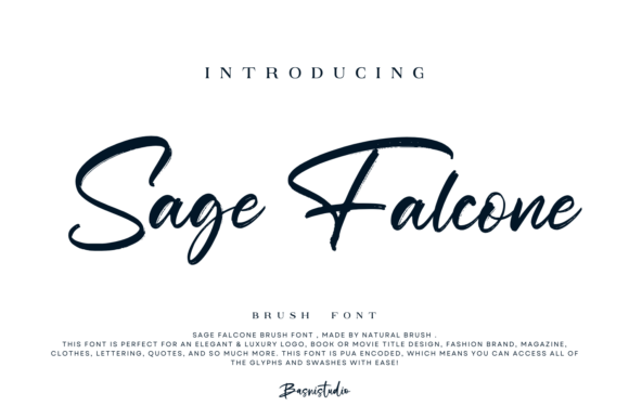 Sage Falcone: A Magical Script Font